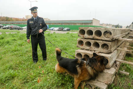 MINSK, BELARUS - 1 March, 2022: police dog looking for drugsのeditorial素材