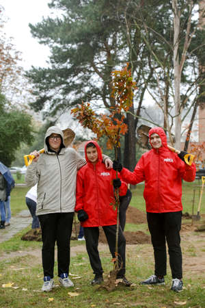 MINSK, BELARUS - 1 March, 2022: people plant trees in their yardのeditorial素材