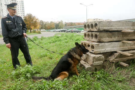 MINSK, BELARUS - 1 March, 2022: police dog looking for drugsのeditorial素材