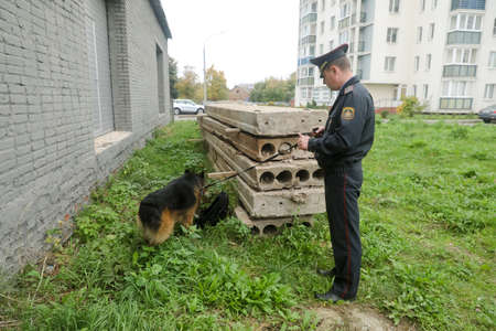 MINSK, BELARUS - 1 March, 2022: police dog looking for drugsのeditorial素材