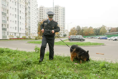 MINSK, BELARUS - 1 March, 2022: police dog looking for drugsのeditorial素材