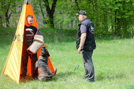 MINSK, BELARUS - 18 FEBRUARY, 2022: wrestling dog trainingのeditorial素材