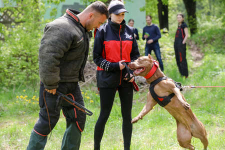MINSK, BELARUS - 18 FEBRUARY, 2022: wrestling dog trainingのeditorial素材