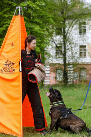 MINSK, BELARUS - 18 FEBRUARY, 2022: wrestling dog trainingのeditorial素材
