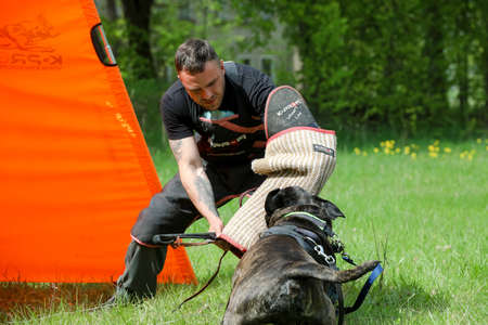 MINSK, BELARUS - 18 FEBRUARY, 2022: wrestling dog trainingのeditorial素材