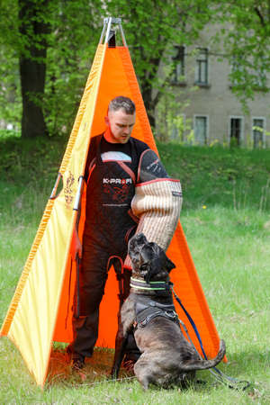 MINSK, BELARUS - 18 FEBRUARY, 2022: wrestling dog trainingのeditorial素材
