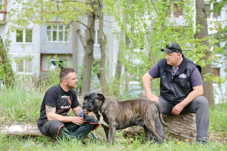 MINSK, BELARUS - 18 FEBRUARY, 2022: wrestling dog trainingのeditorial素材