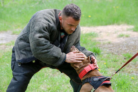 MINSK, BELARUS - 18 FEBRUARY, 2022: wrestling dog trainingのeditorial素材