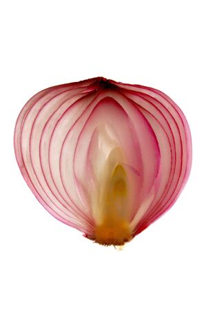 Almost transparent slice of onionの写真素材