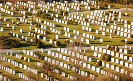 cementery in sun lightの写真素材