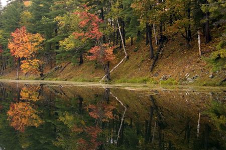 Reflection of colorful forest in lake surface in the overcast dayの写真素材