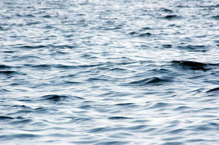 Waves on the surface of northen lake