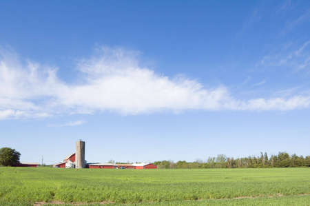 Agriculture farm under high blue sky
