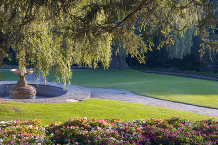 Sunset light on green lawn in parkの写真素材