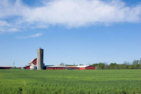 Agriculture farm under high blue skyの写真素材
