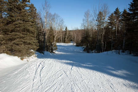 cross country skiing. free style track. Mont Saint-Anne, Quebec, Canada の写真素材