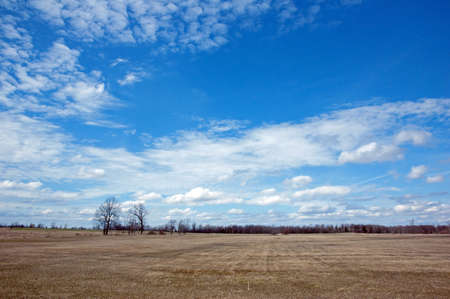Yellow grass field under blue sky near the small willage