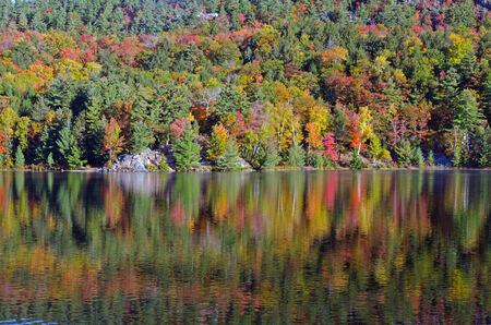 Nature landscape with Reflection