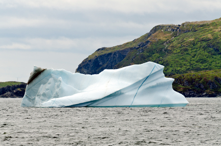 Newfoundland coast in summer timeの写真素材