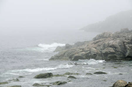 Newfoundland coast in summer timeの写真素材