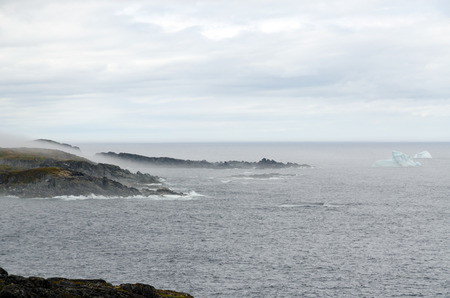Newfoundland coast in summer timeの写真素材