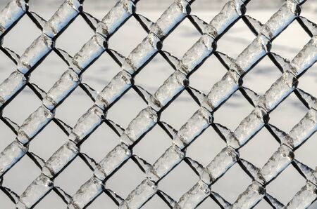 Trees and streets of Canadian town after a freezing rain stormの写真素材