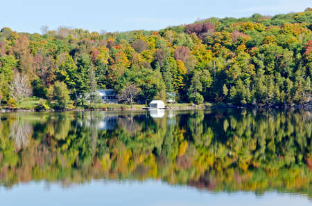 Forest lake in sunny aurumn day in Canadaの写真素材