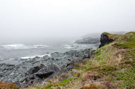Newfoundland coast in summer timeの写真素材