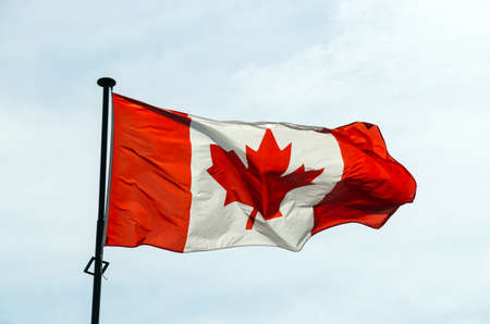 Canadian flag on the blue sky backgroundの写真素材