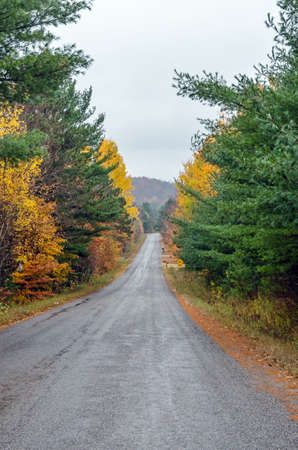 Road in color Ontario forest in overcast day.の写真素材