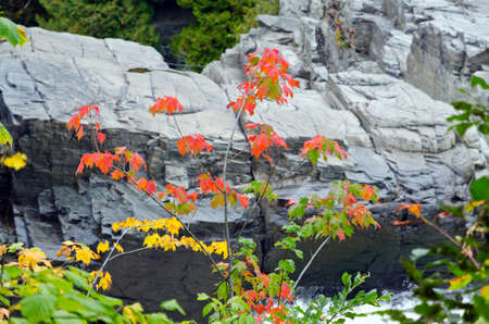 Canyons and waterfalls of Ste. Anne de Beaupre, Quebec.の写真素材