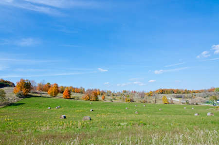 Field of corn being harvested on an autumn dayの写真素材
