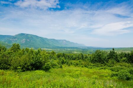 Spruce forest in the Cape Breton Highlands National Parkの写真素材