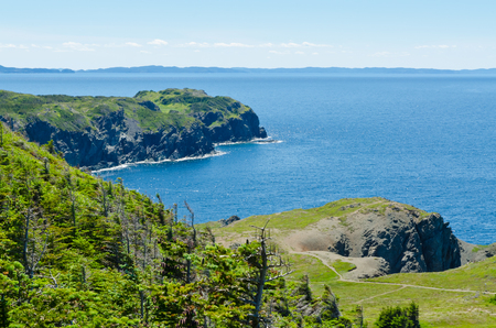 The shore of Newfoundland, Canada in sunny dayの写真素材