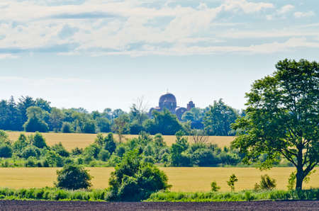Yellow field of wheat at summer dayの写真素材