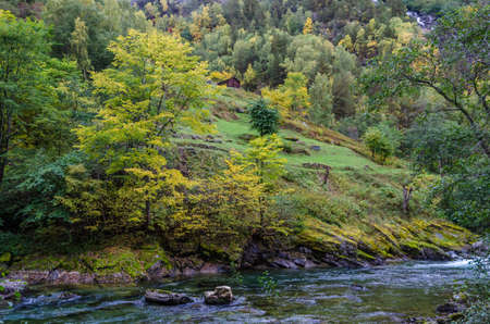 View of the mountain river. Norway.の写真素材