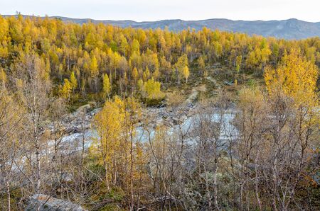 View of the mountain river. Norway.の写真素材