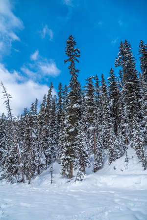 Lake Louise in Banff Park in winter time, Alberta, Canadaの写真素材