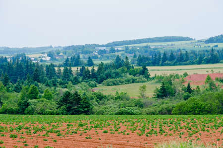 View of fields and forests of Prince Edward Island