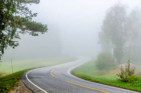 Strong fog in forest at fall time. Norwayの写真素材