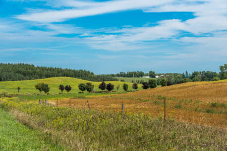 Farm field and blue sky with clouds. Ontario. Canada.の写真素材