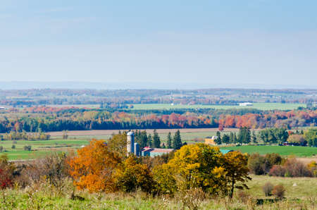 Field of corn being harvested on an autumn day