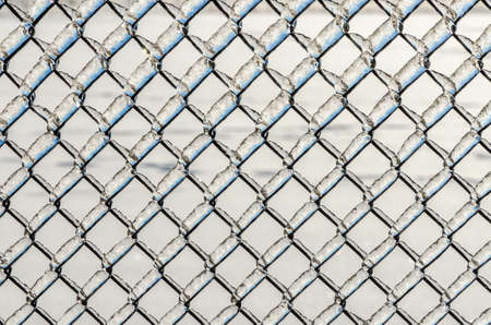 Trees and streets of Canadian town after a freezing rain stormの写真素材