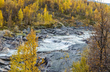 View of the mountain river. Norway.の写真素材