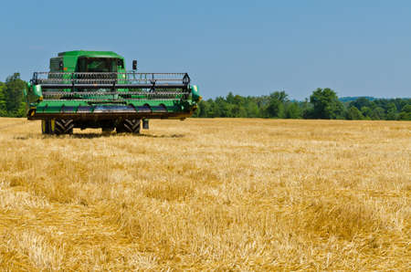 The compressed band on wheat field