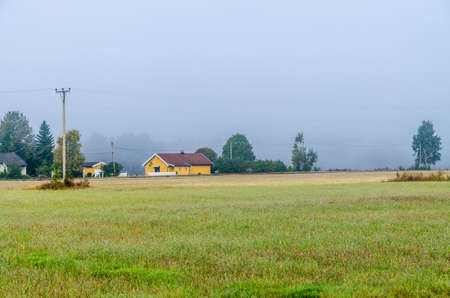 Strong fog in forest at fall time. Norwayの写真素材