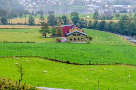 Mountain and highland in Norway at fall timeの写真素材