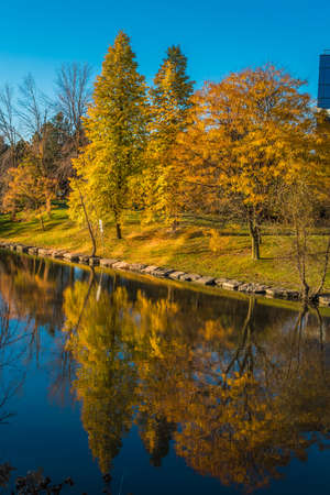 Colorful trees reflection in  pond. Markham, Canada