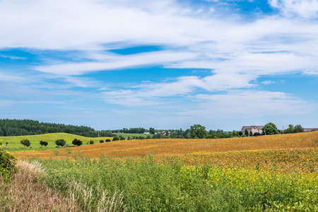 Farm field and blue sky with clouds. Muskoka. Canada.