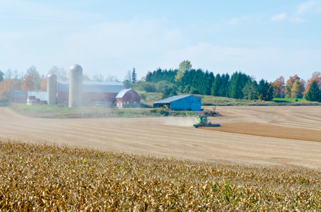 Field of corn being harvested on an autumn dayのeditorial素材